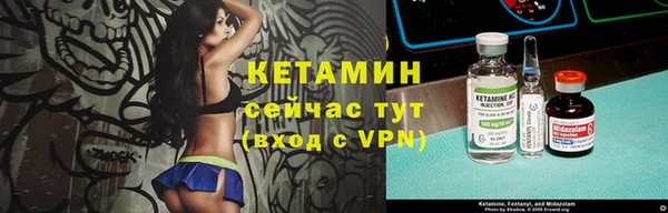 СК Новодвинск