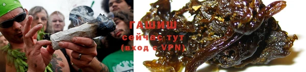 СК Новодвинск