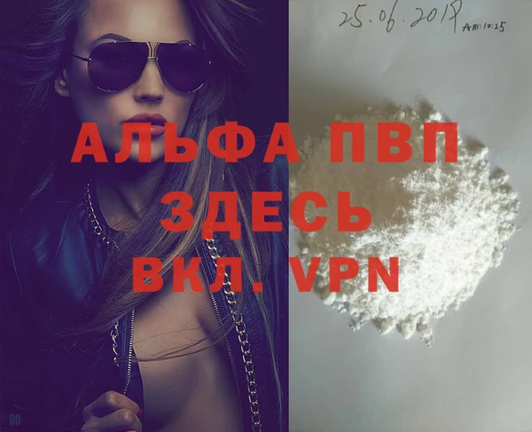 СК Новодвинск