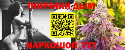 сатива Гай