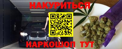 сатива Гай