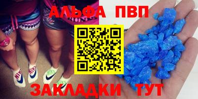 сатива Гай