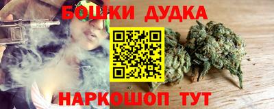 сатива Гай