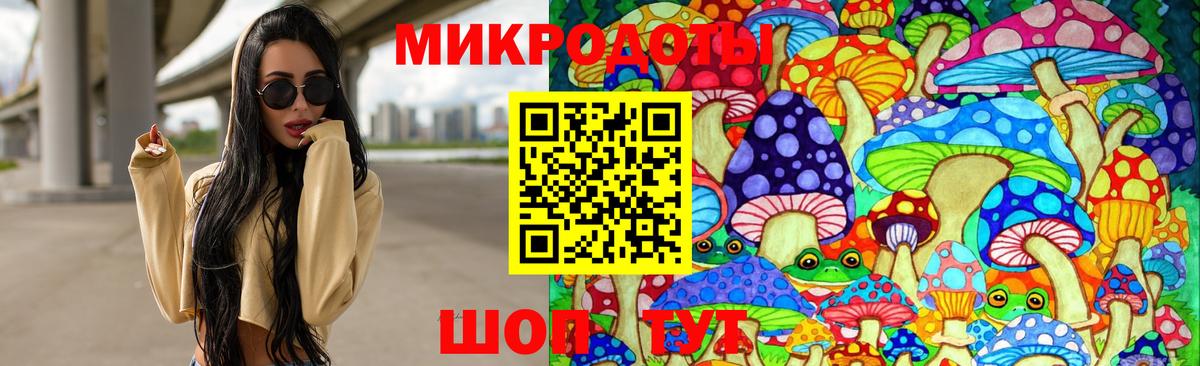 Галлюциногенные грибы Psilocybine cubensis Нефтекумск